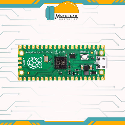 Raspberry Pi Pico RP2040 Microcontroller | Raspberry Pi Pico W