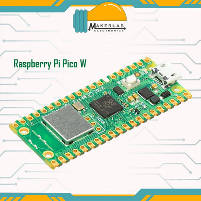 Raspberry Pi Pico RP2040 Microcontroller | Raspberry Pi Pico W